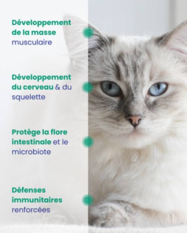 LAPSA - Vendita all'ingrosso Cibo - Gatti - Lapsa - Mousse Gatto - Renale (ONP) - Pollo - 24x85gr2