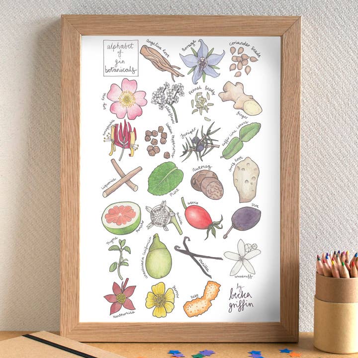 Becka Griffin Illustration - Wholesale Art Print - Gin Botanicals Alphabet Art Print