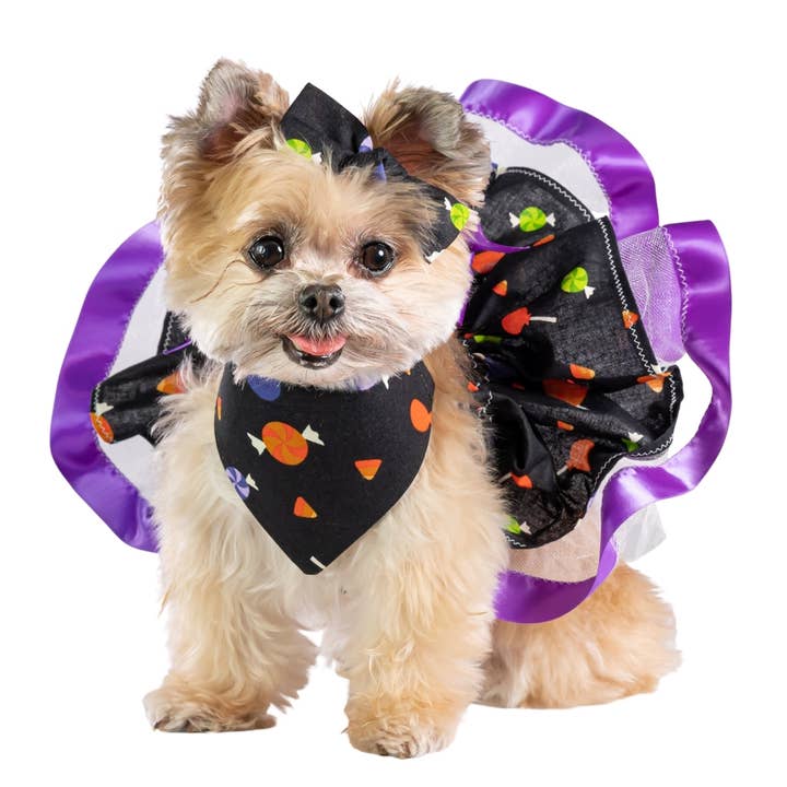 Bandana, tutù e fiocco per animali domestici di Halloween per la vendita all'ingrosso da parte di Pawsta N Furballs