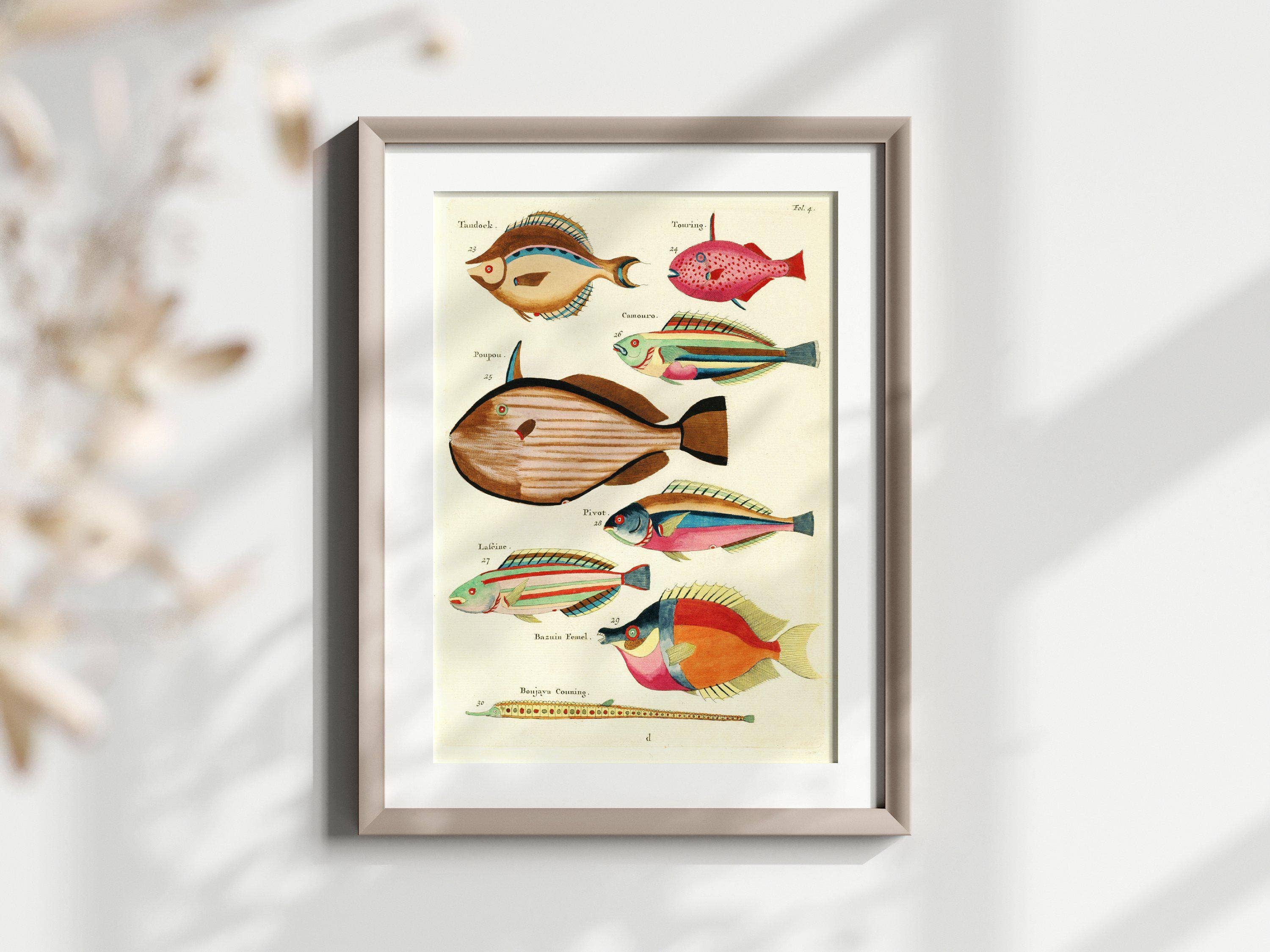 Vintage Wall Graphics – Engroshandel Plakat – Fisk Vægkunst - Farverig Nautisk Marine Illustration0