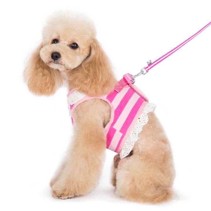 SnapGO Polo Girl Harness for wholesale by Dogo Pet