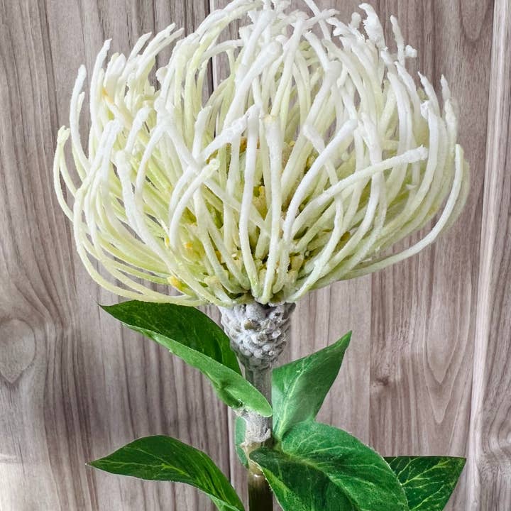 Angel Isabella - Wholesale Artificial Flowers - 29"Large Artificial Saffron Pincushion Needle Protea8