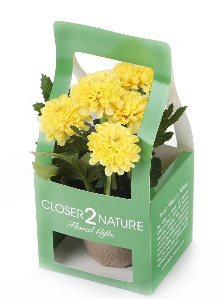 Artificial 18cm Yellow Chrysanthemum Plant with Gift Box for wholesale by Closer2Nature