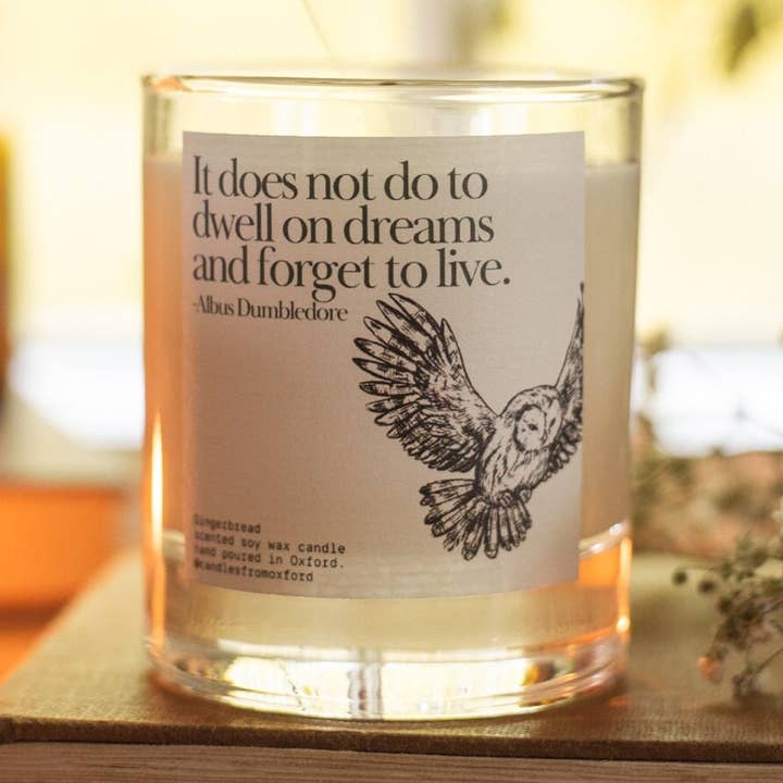 Albus Dumbledore Candle Gift - Wizard Owl Potter Book for wholesale by Candles from Oxford