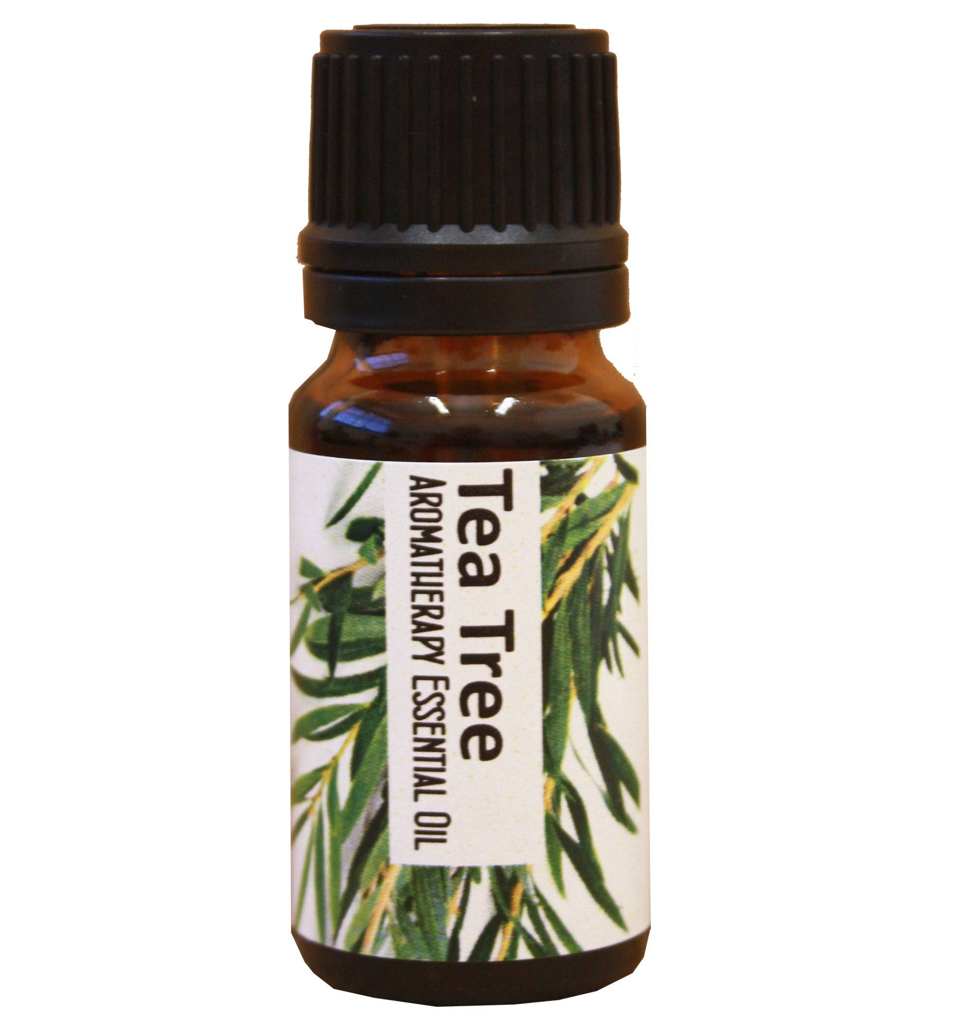 Regent House - Wholesale Essential Oil - Tea Tree Essential Oil0