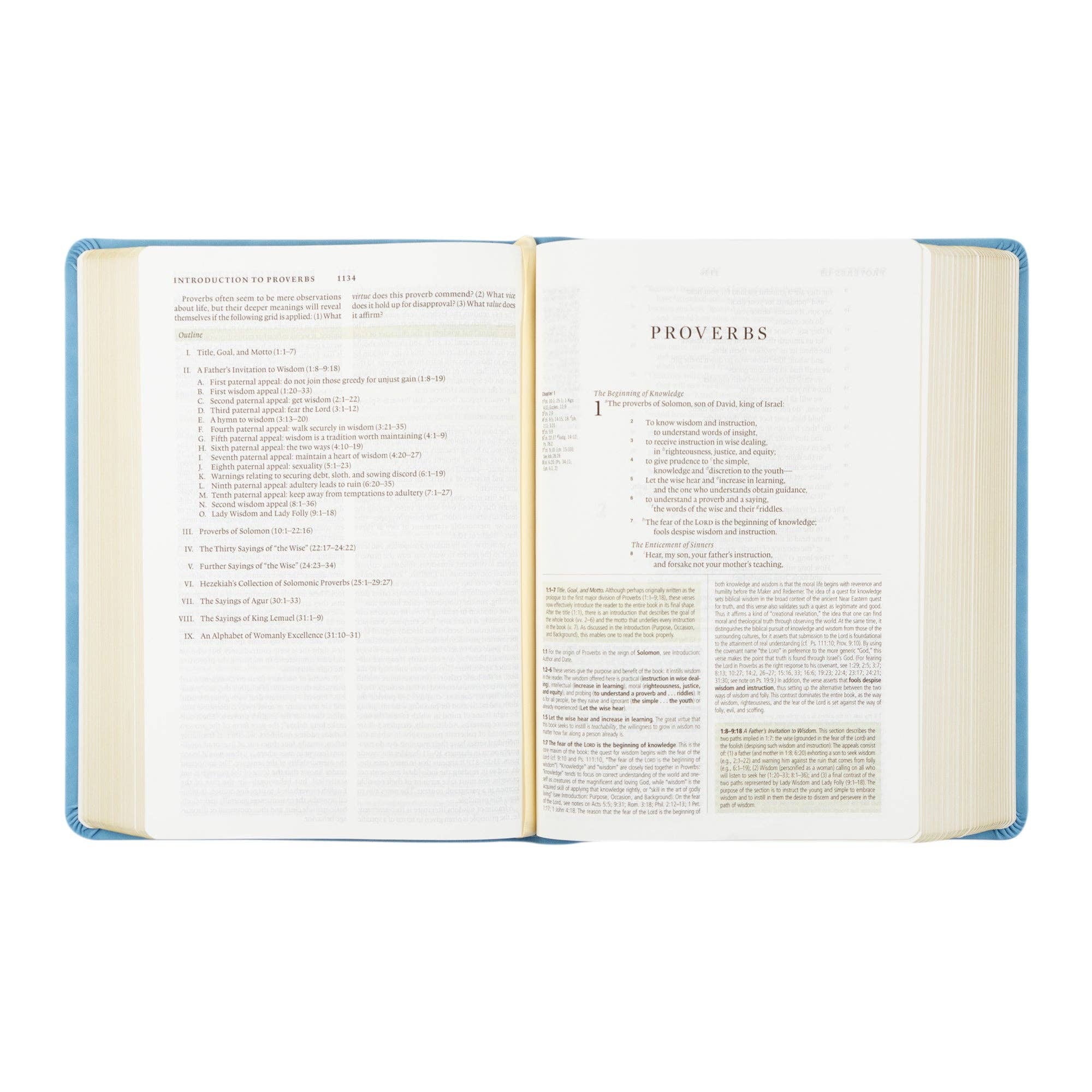 Hosanna Revival - Wholesale Display Book - ESV Study Bible: Bethany Theme6