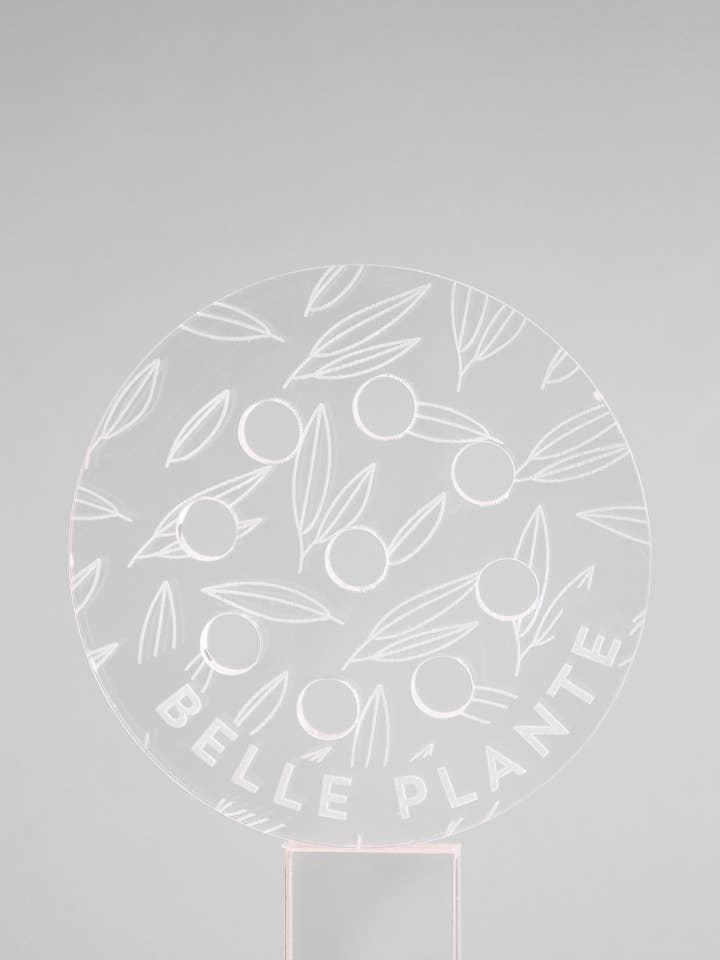 Bobche - Vacker växt för wholesale av Greenterior