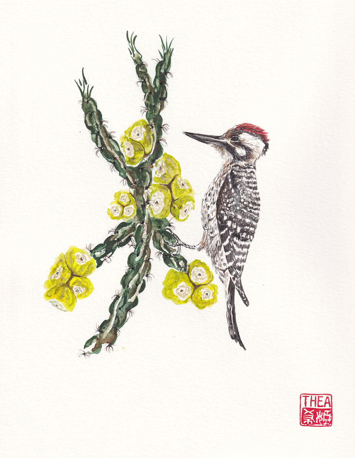 StudioThea.Co - Wholesale Everyday Greeting Card - Cholla Apples0