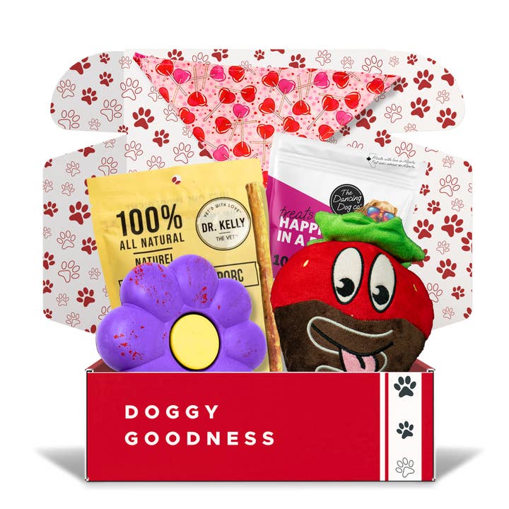 Coffret pour chien sur le thème de la Saint-Valentin pour la vente par WoofCrate