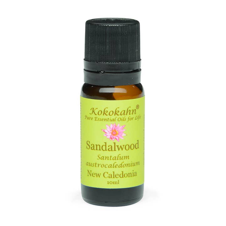 Sandalwood (Santalum Austrocaledonium) for wholesale by Kokokahn Essential Oils