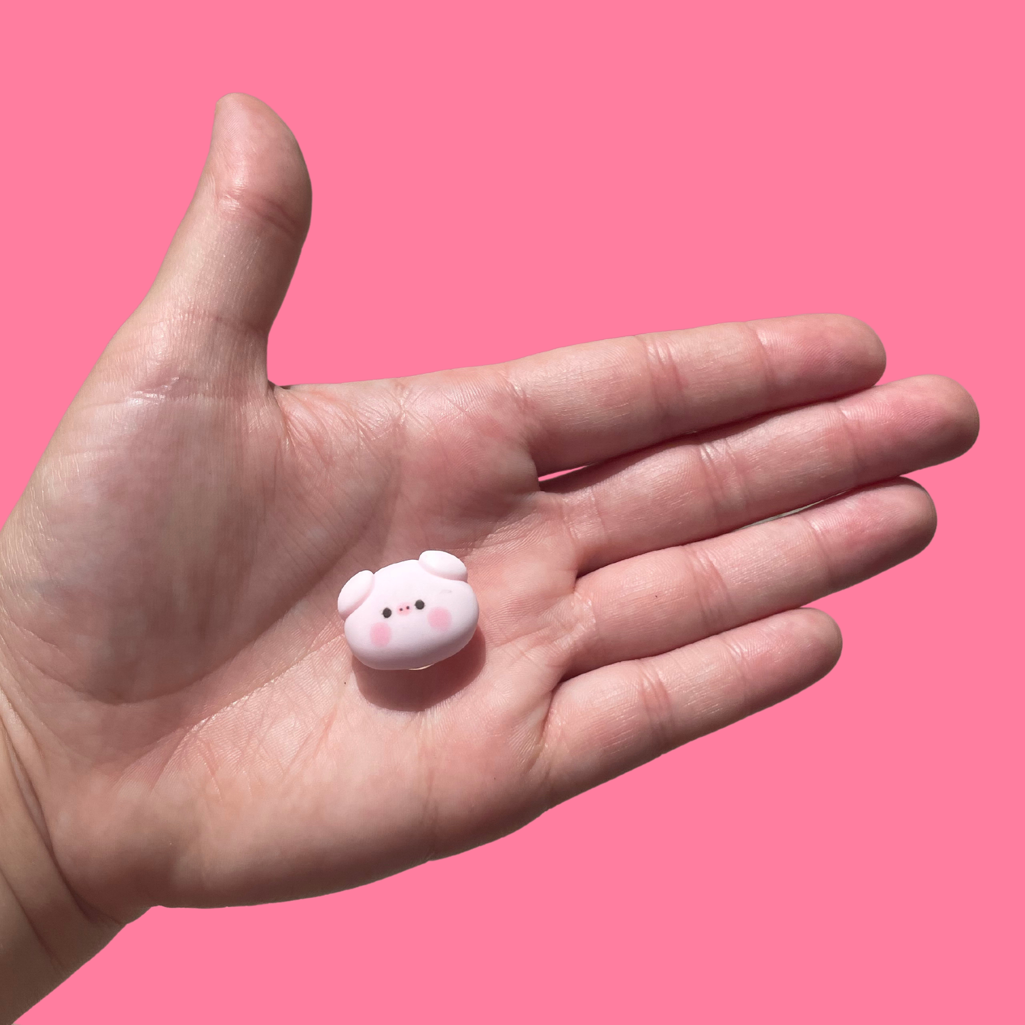 Mini Kitty Designs - Wholesale Shoe Accessories - Cute Animal Croc Charms1