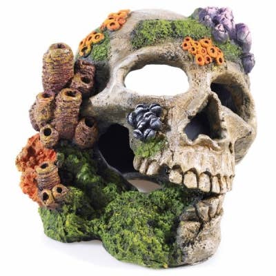 Skull 195mm for wholesale by Classic Pet Products