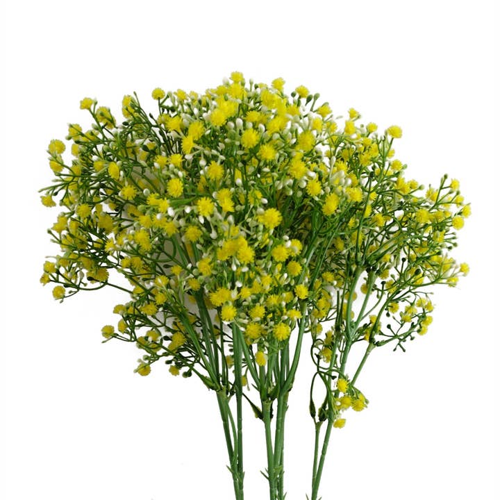 Gypsophila, gelber Stiel, 55 cm, 6 Stück für den Großhandel von Leaf Design UK LTD