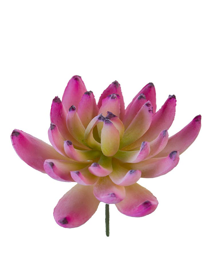 American Best - Vente Fleurs artificielles - SEDEVERIA PICK 3,5"1