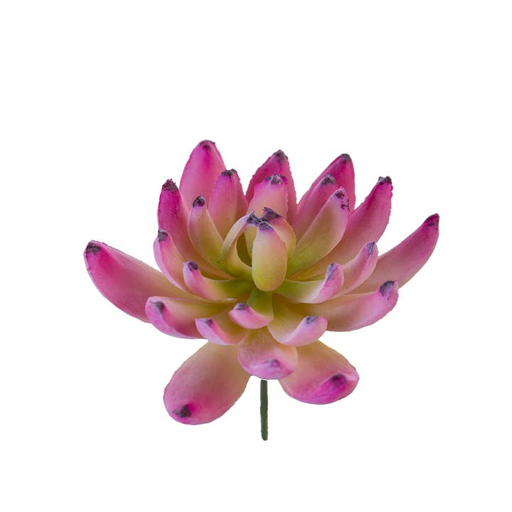 American Best - Vente Fleurs artificielles - SEDEVERIA PICK 3,5"1