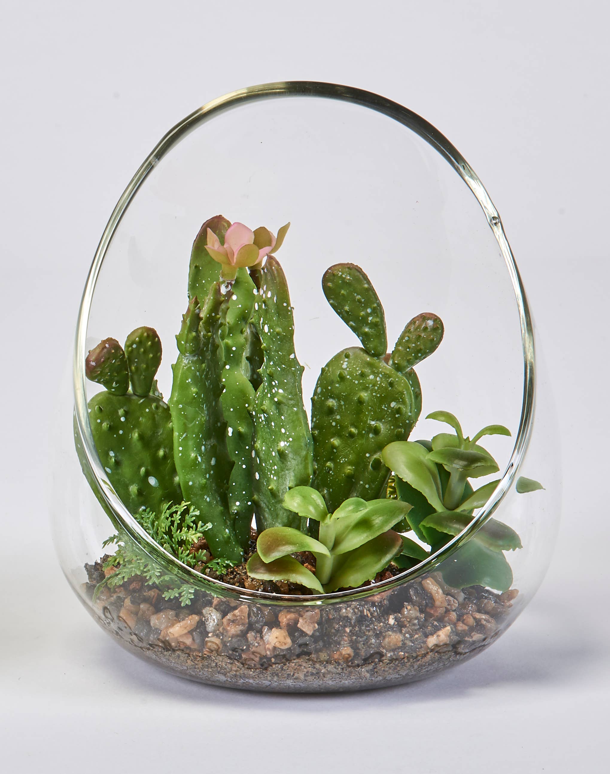 WORTH IMPORTS - Wholesale Succulent - 6.5" Green Cactus & Succulent In Glass Vase0
