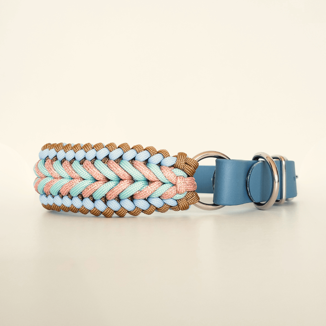 Truffe & Flair - Wholesale Pet Collar - Dog - Braided dog collar - Biothane/Paracord - Sky blue2