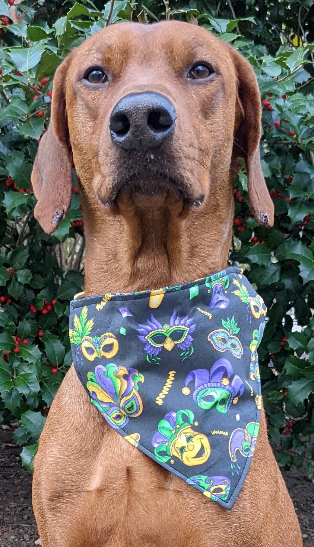 Koa's Ruff Life - Wholesale Pet Bandana - Dog - Mardi Gras Masquerade Bandana0
