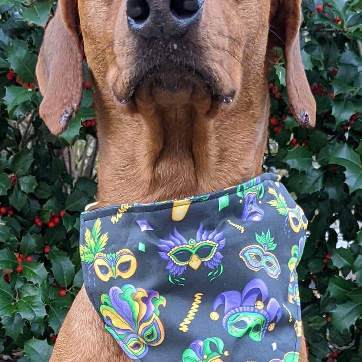 Koa's Ruff Life - Wholesale Pet Bandana - Dog - Mardi Gras Masquerade Bandana