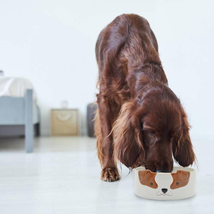 MAGS - Wholesale Pet Bowl - Cat/Dog - Ceramic dog food bowl