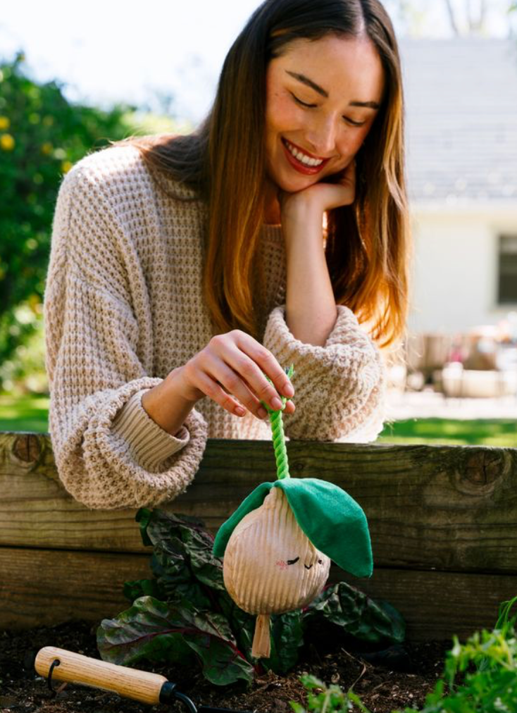 ZippyPaws - Wholesale Pet Toy - Dog - Crinkle Crops - Onion6