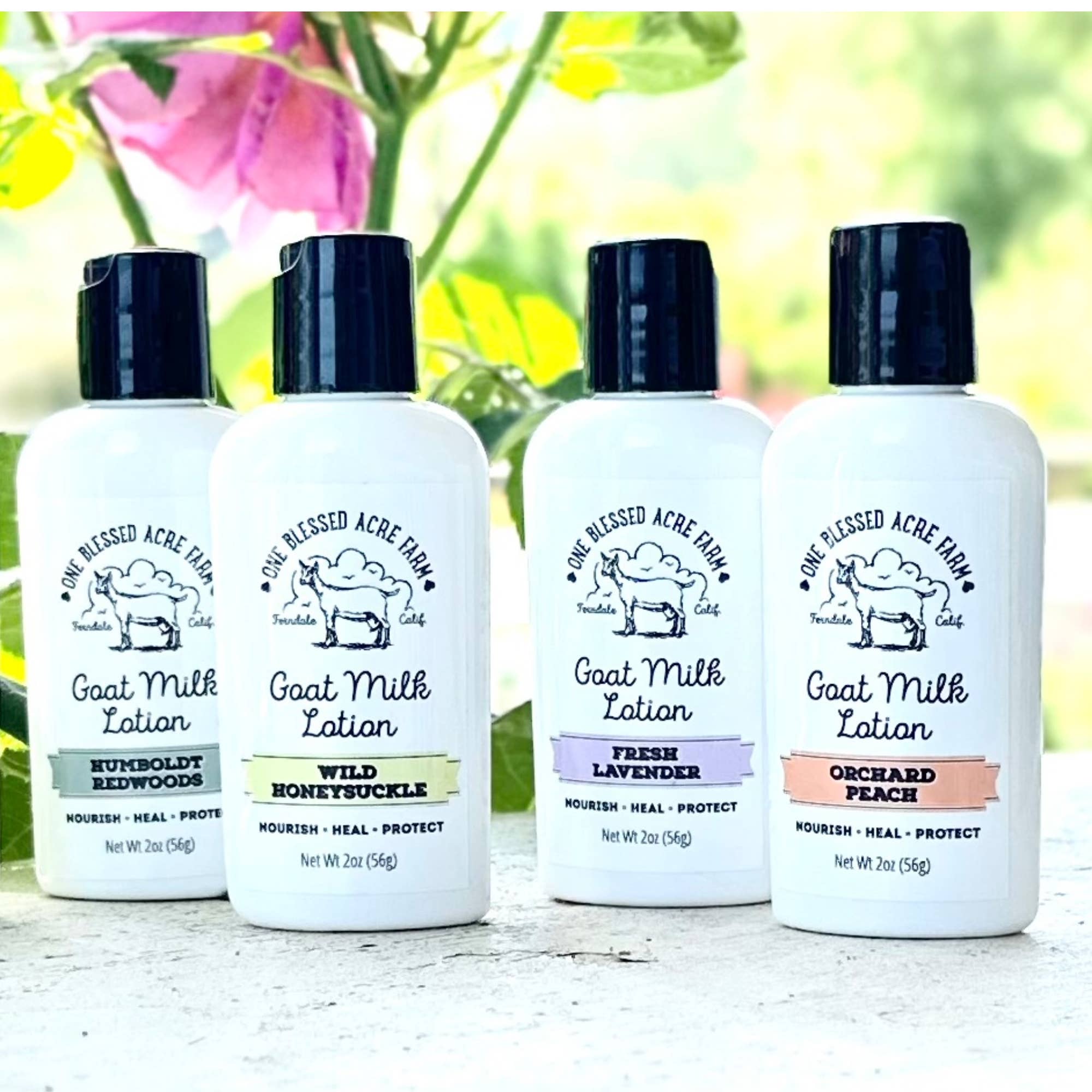 One Blessed Acre Farm – Engroshandel Hånd- og kropslotion – Gedemælk Lotion Håndcreme Body Lotion Rejsestørrelse Lotion7