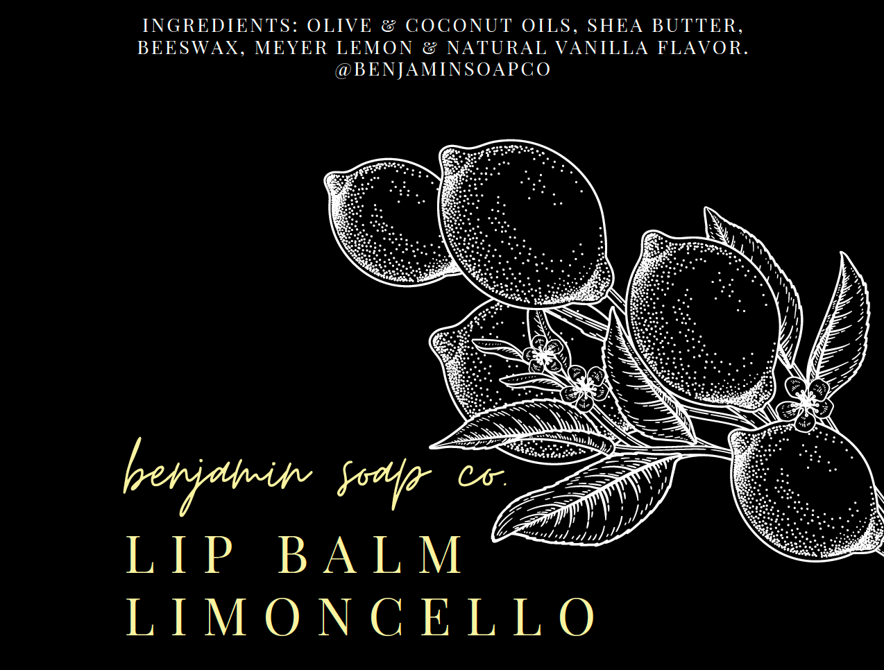 Benjamin Soap Co. - Venta al por mayor Bálsamos labiales - Bálsamo labial6