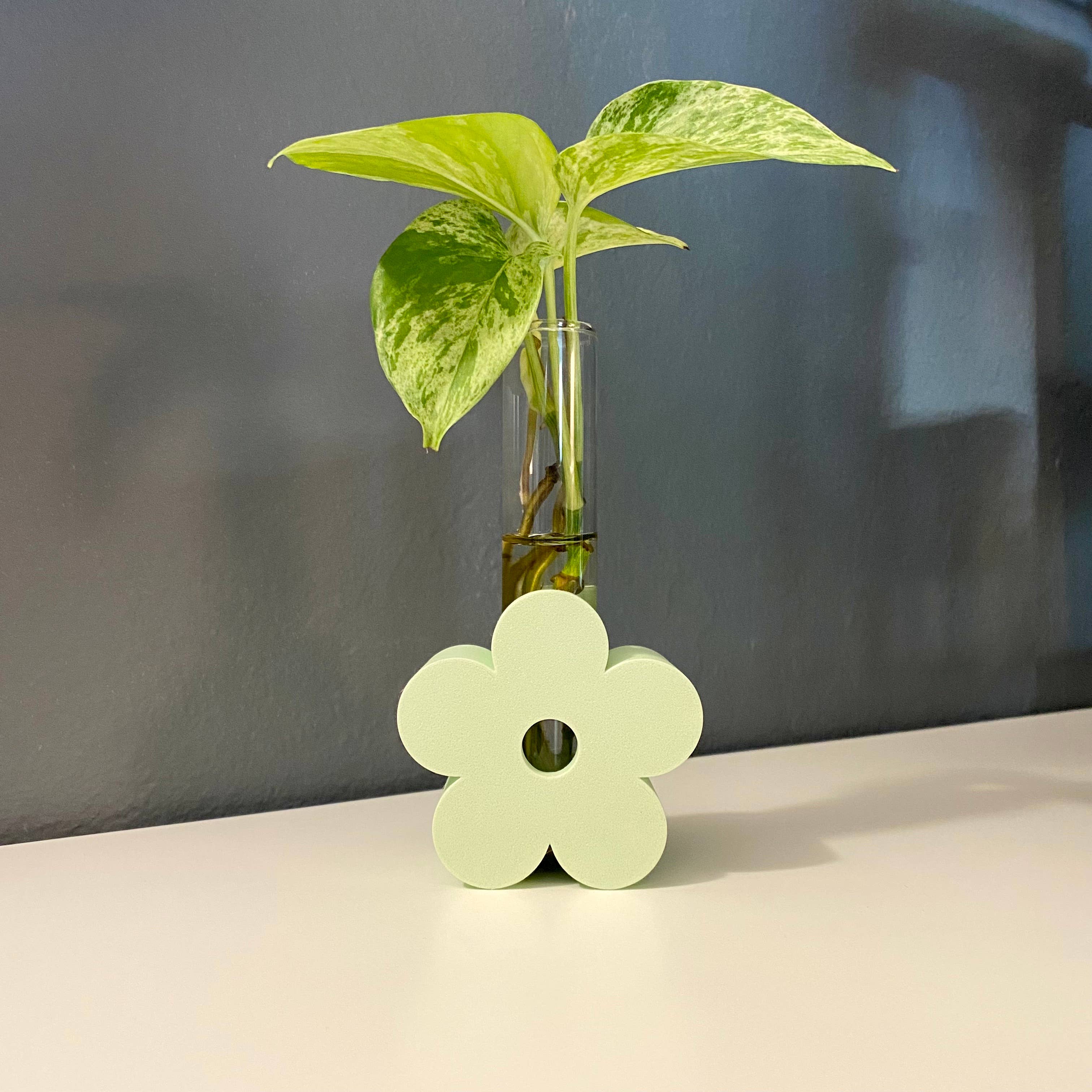 Plant Voyage - Venta al por mayor Macetas - Estación de propagación margarita impresa en 3D - ecológica2