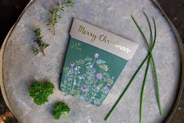 Sow 'n Sow - Wholesale Plant Seeds - Christmas Herbs Gift of Seeds (Australia Only)2