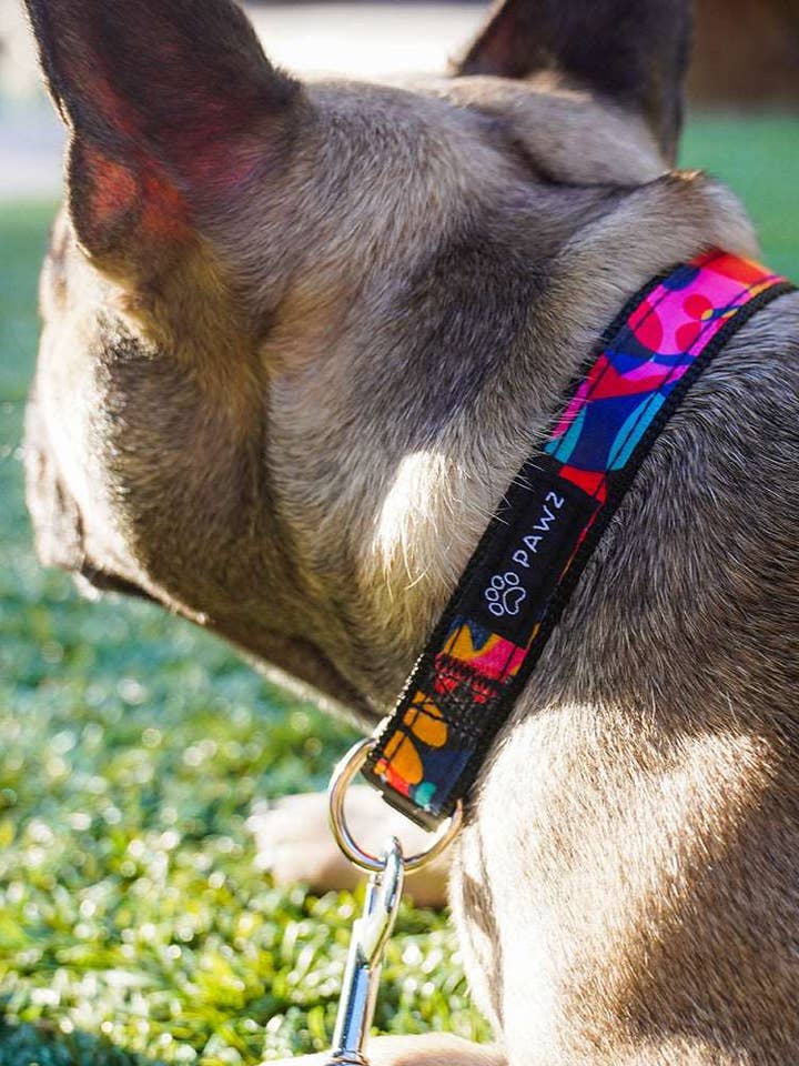 Kaleidoscope Dog Collar & Leash Set for wholesale by PAWZ