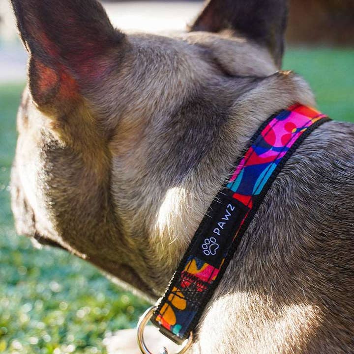 Kaleidoscope Dog Collar & Leash Set for wholesale by PAWZ