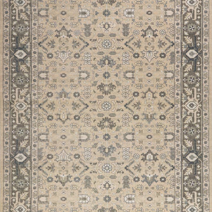 Anastasia Wool and Cotton Area Rug for wholesale by nuLOOM