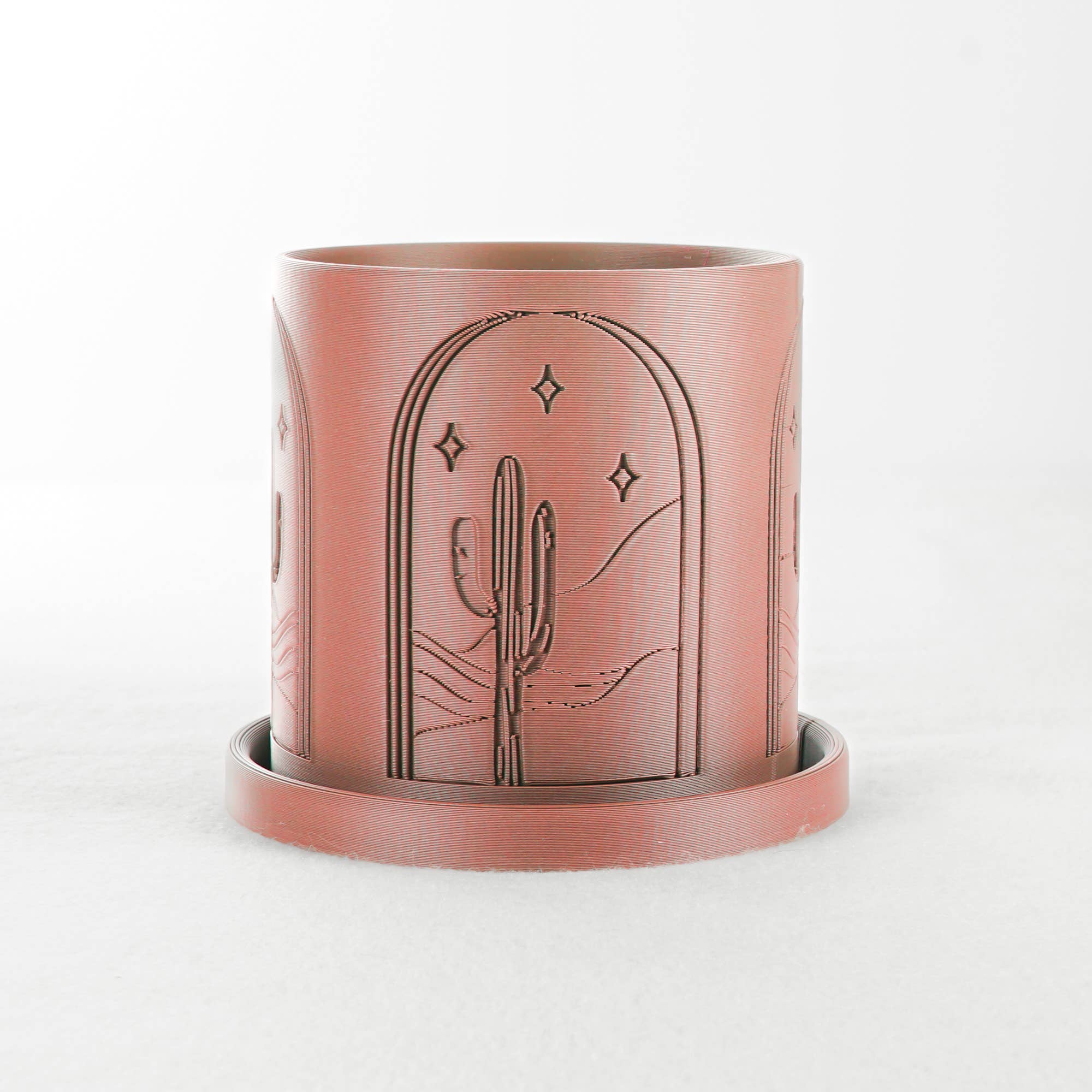 Rosebud Homegoods - Wholesale Plant Pot - Cactus Planter3