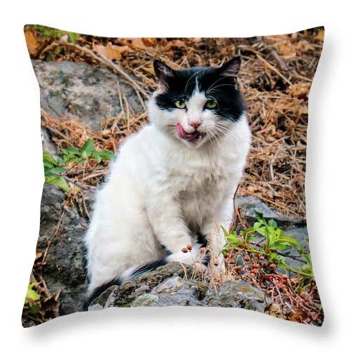 COUSSIN « LE CHAT NOIR ET BLANC DU VILLAGE » pour la vente par sorayadapuzzostore