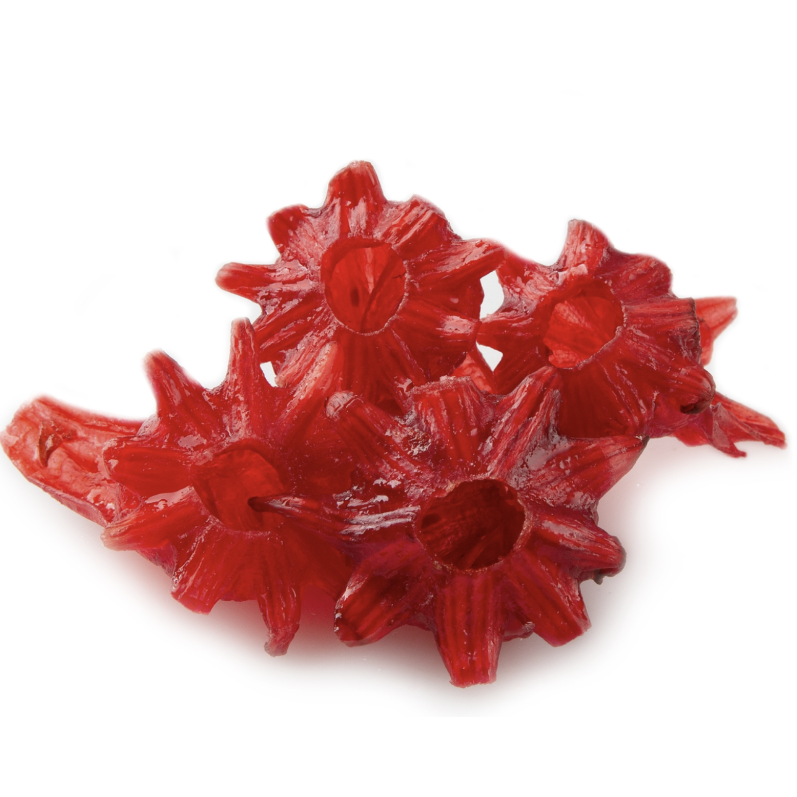 Witchy Pooh's Exotic Teas & Herbs – wholesale Fruit snacks – Witchy Pooh's Candy Hibiscus - Candy Coated Whole Hibiscus15