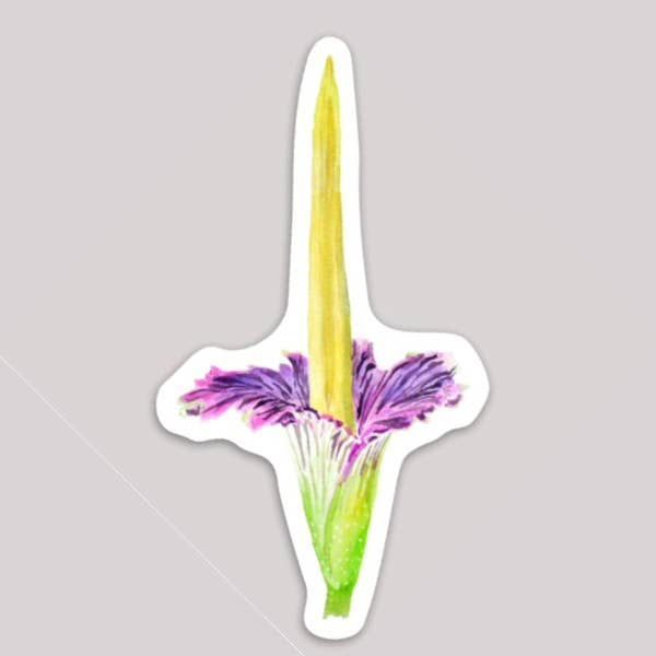 Tasha Fay - Wholesale Sticker - 3" Watercolor Corpse Flower Sticker0