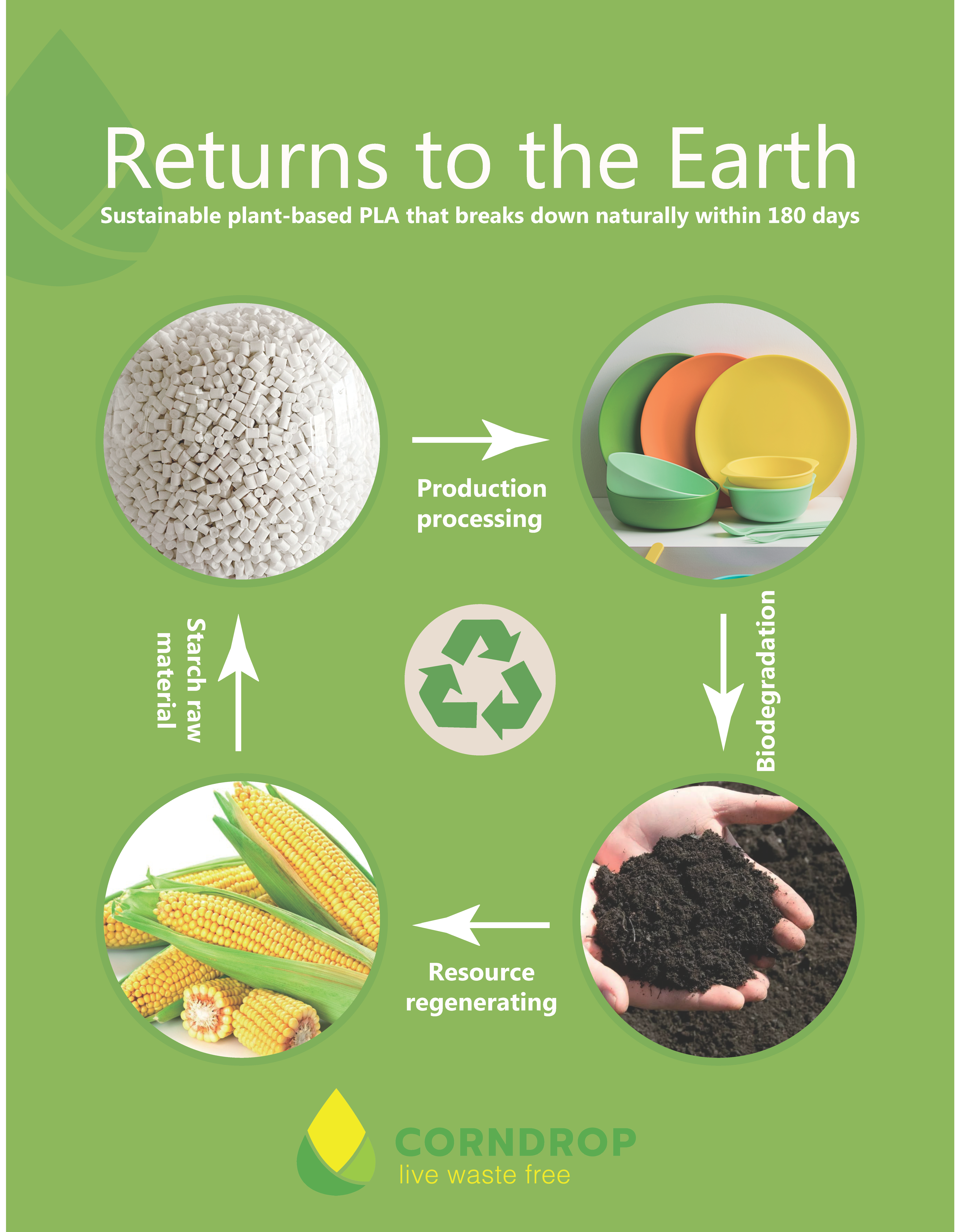 Corndrop - Wholesale Coffee Mug - Corndrop Coffee Cup - PLA- Eco Friendly-Biodegradable6