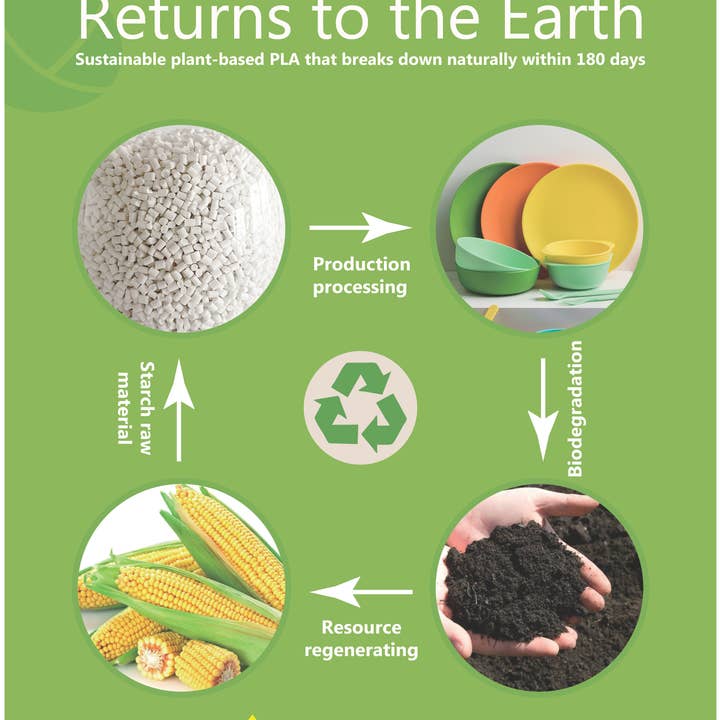 Corndrop - Wholesale Coffee Mug - Corndrop Coffee Cup - PLA- Eco Friendly-Biodegradable6