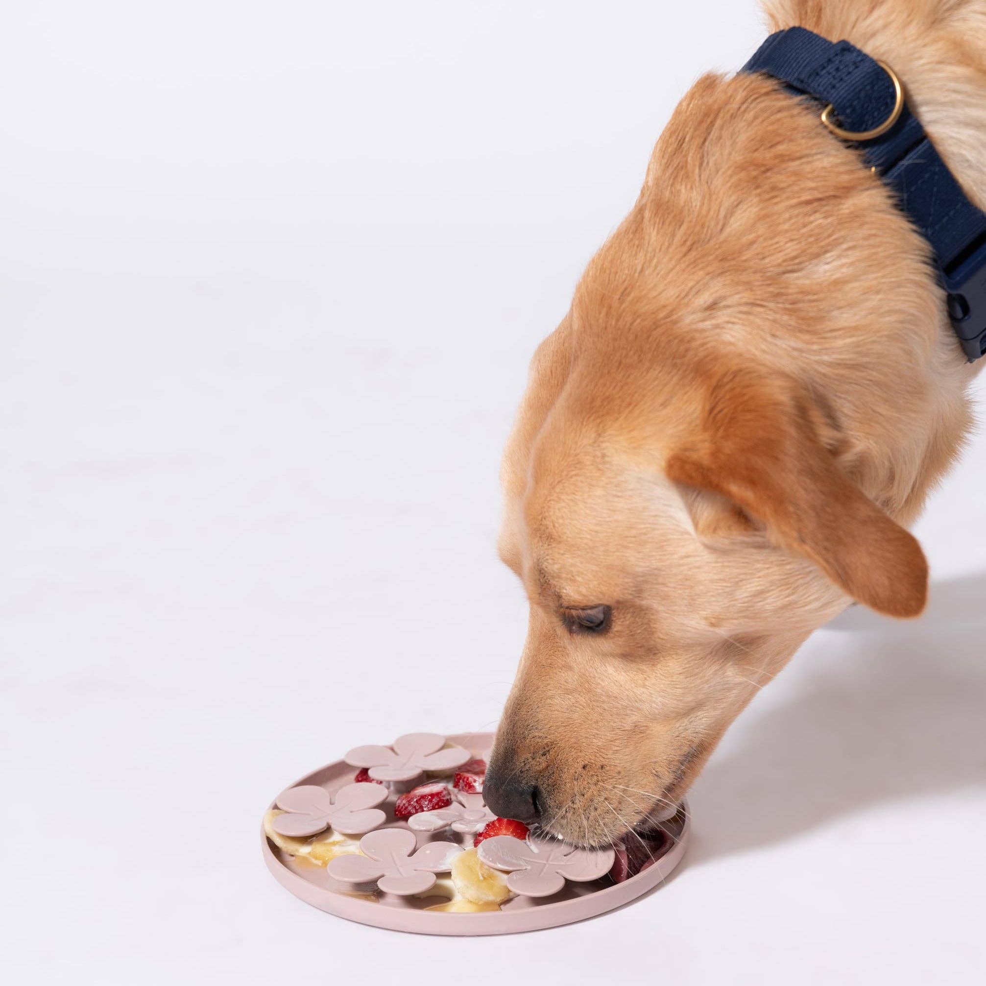 Awoo - Wholesale Pet Food Mat - Dog - Meadow Mat3