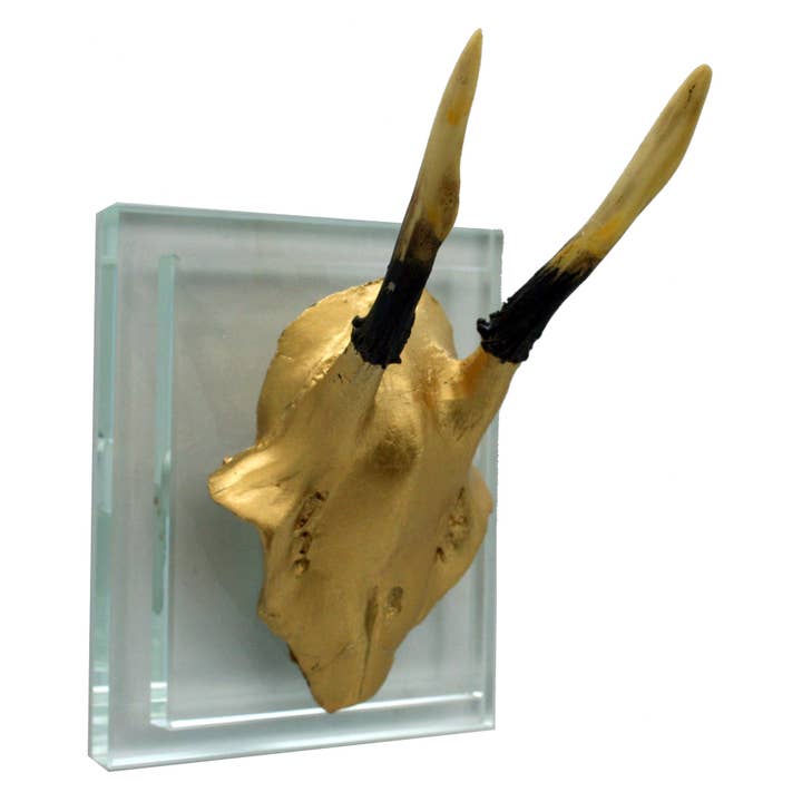 Gold Antler Glass Wall Mount for wholesale by Modern World by Contrast Inc.