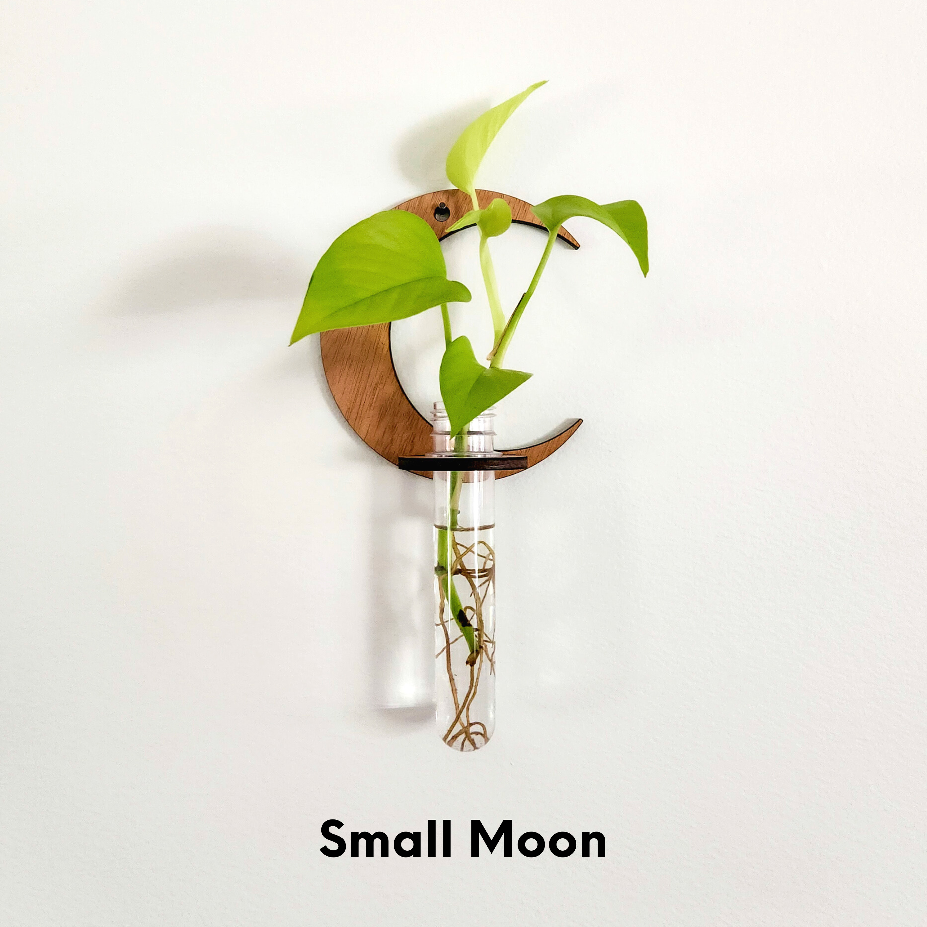 Leaf & Node - Wholesale Hanging Planter - Wall Hanging Propagation Station - Moon Test Tube Holder0