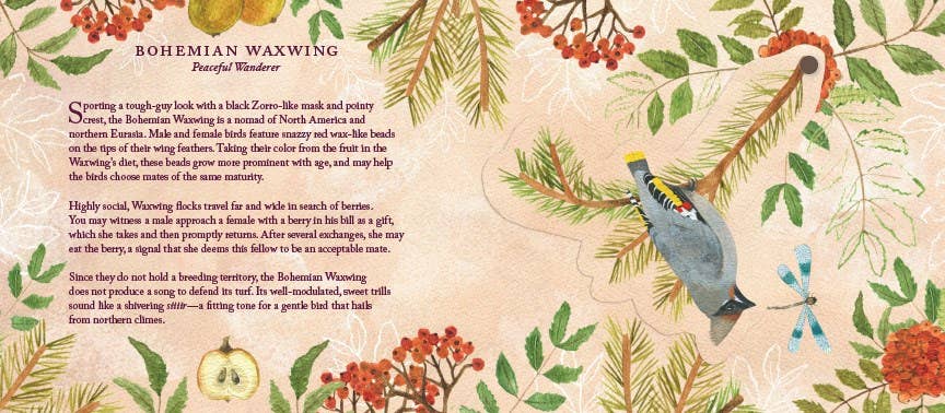 Abrams - Wholesale Display Book - Birds in a Book (UpLifting Editions)5