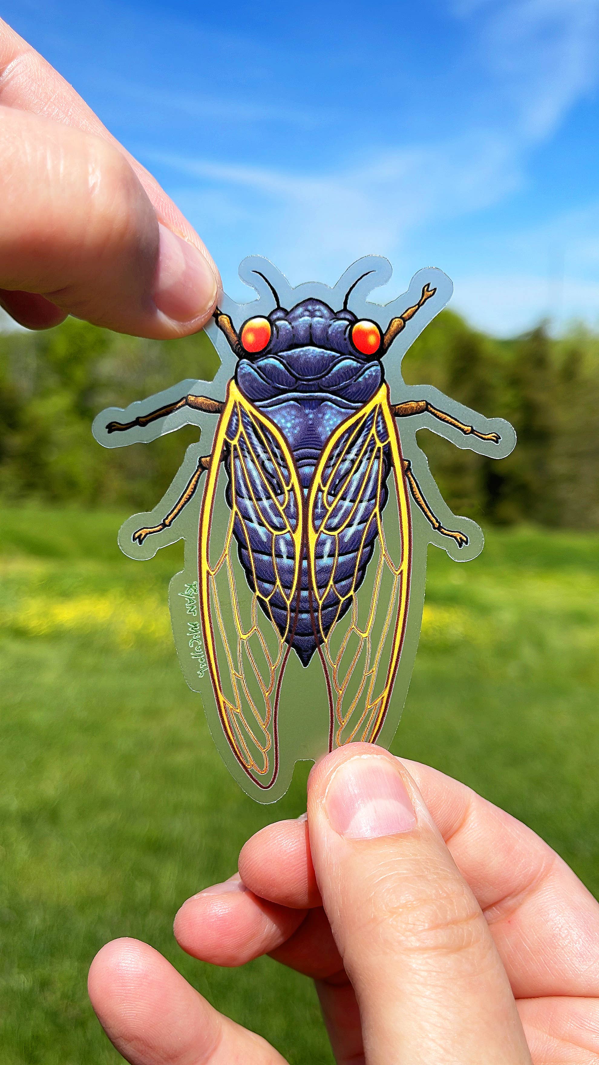 Ryan McCulloch Art – wholesale Sticker – CLEAR STICKERS: Cicada Sticker