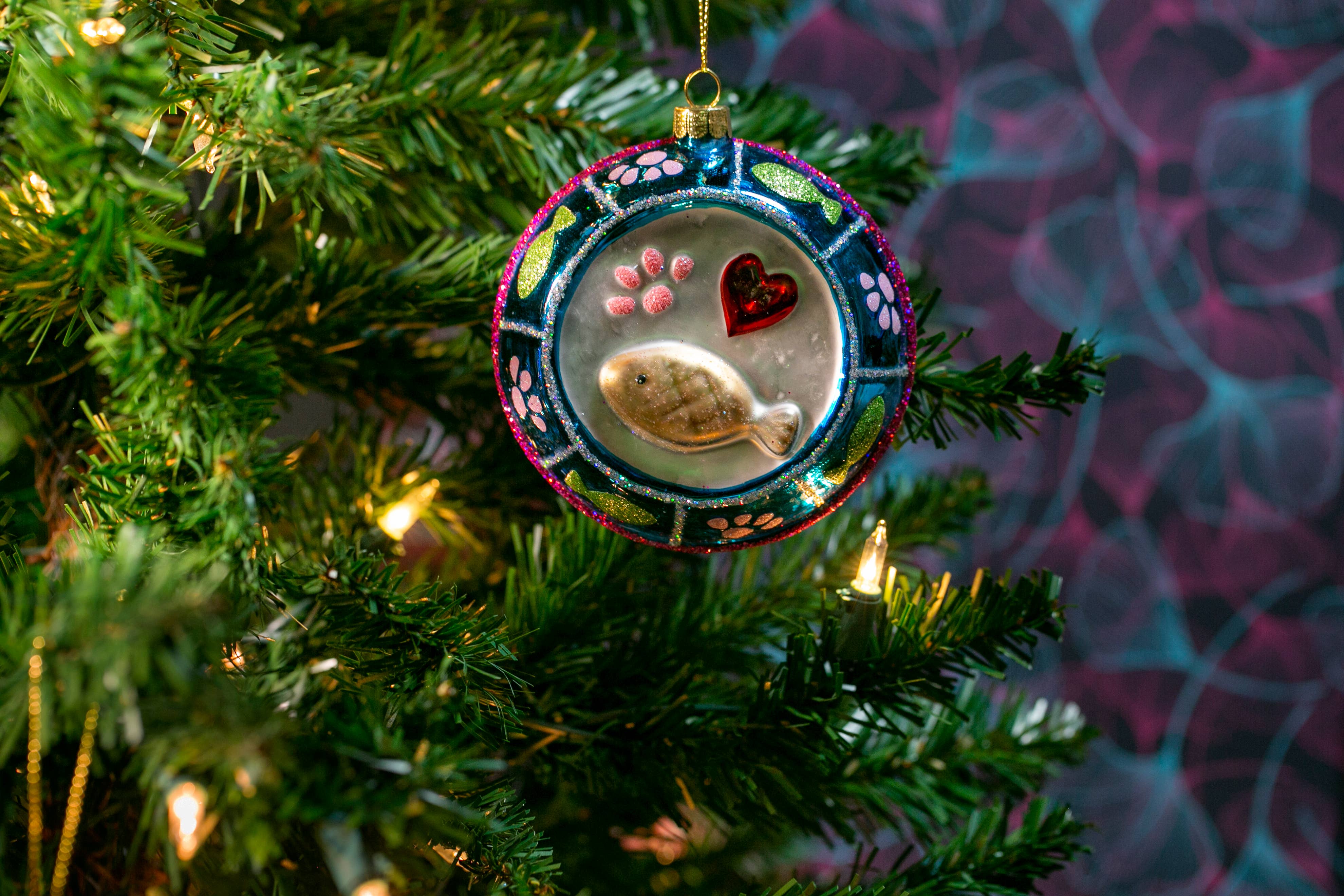 Party Rock Ornaments – Großhandel Verzierung – Party Rock | Katzennapf mit Glasverzierung1