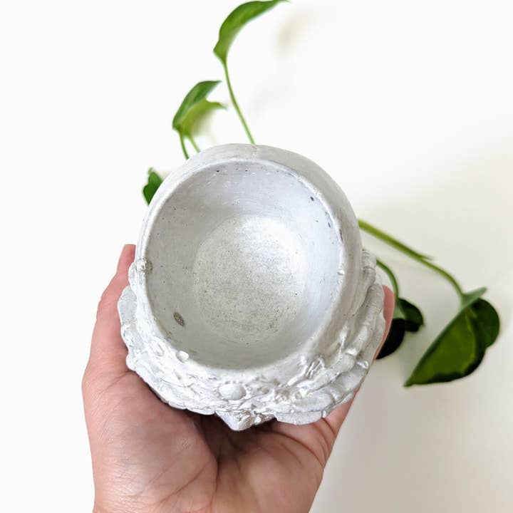 ForgottenProperty - Wholesale Plant Pot - Concrete Geometric Skull Air Plant Holder 3