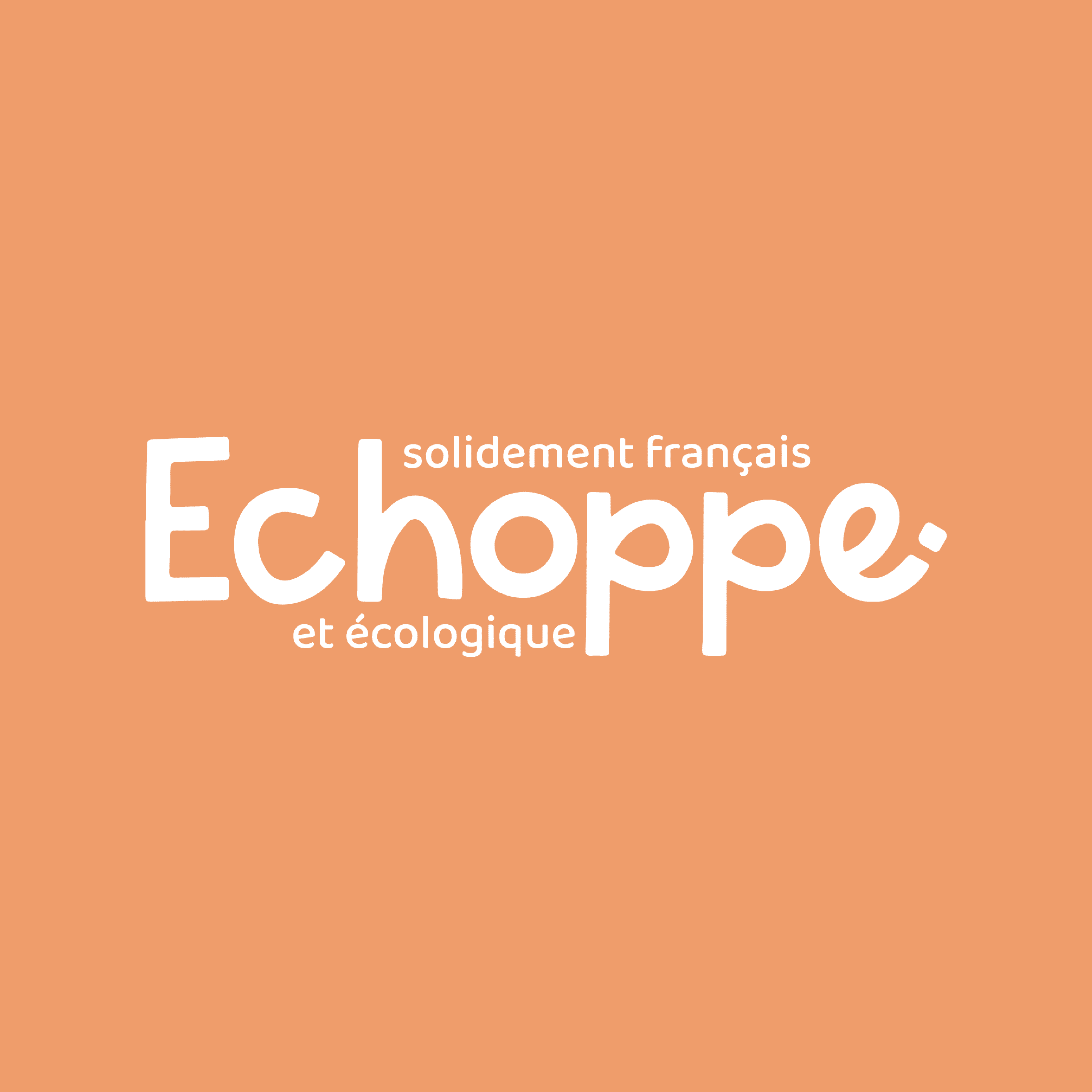Lessive solide Amande douce & Orange 15 doses - Echoppe