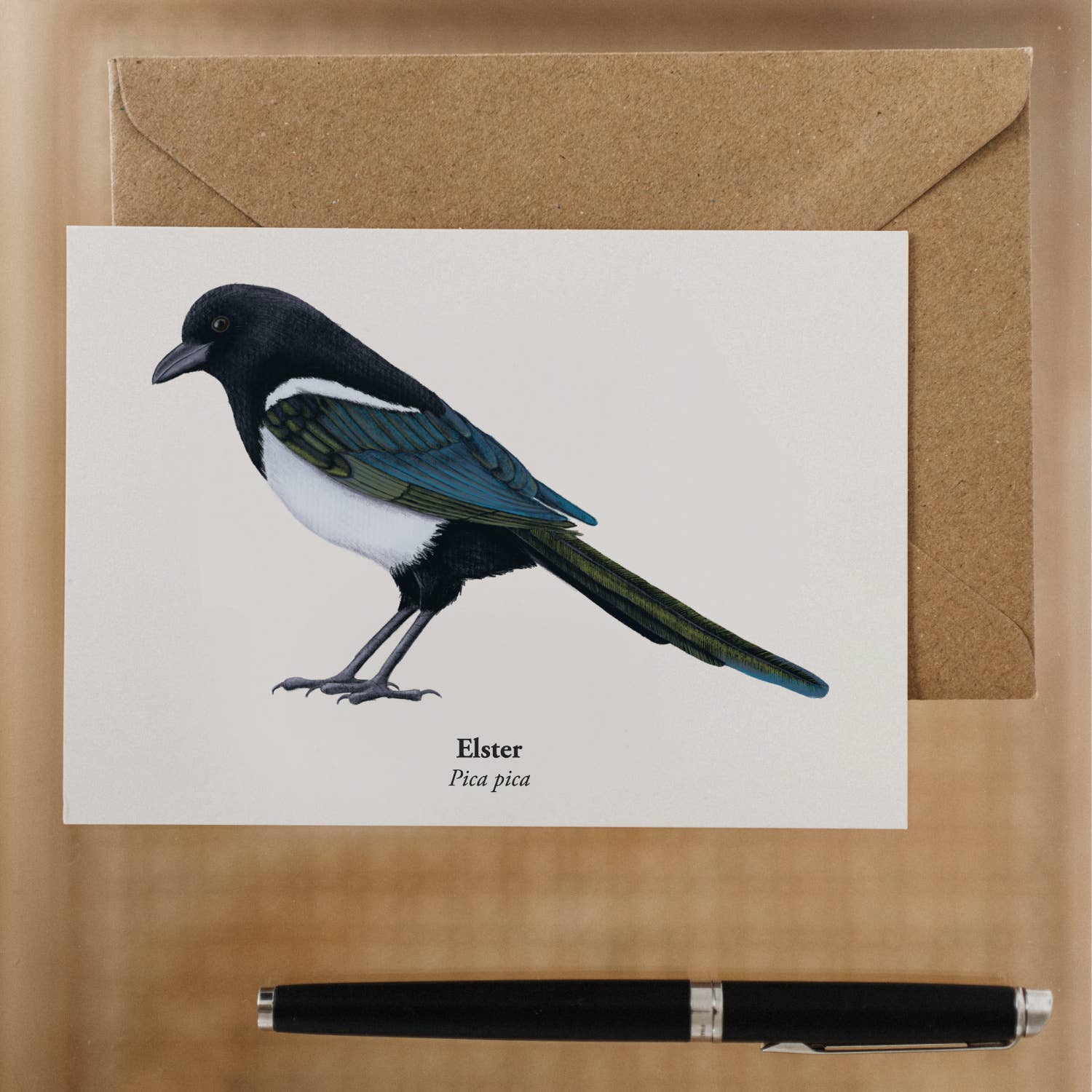 Terillu - Wholesale Postcard - Postcard Magpie, Art Postcard with Magpie Drawing2