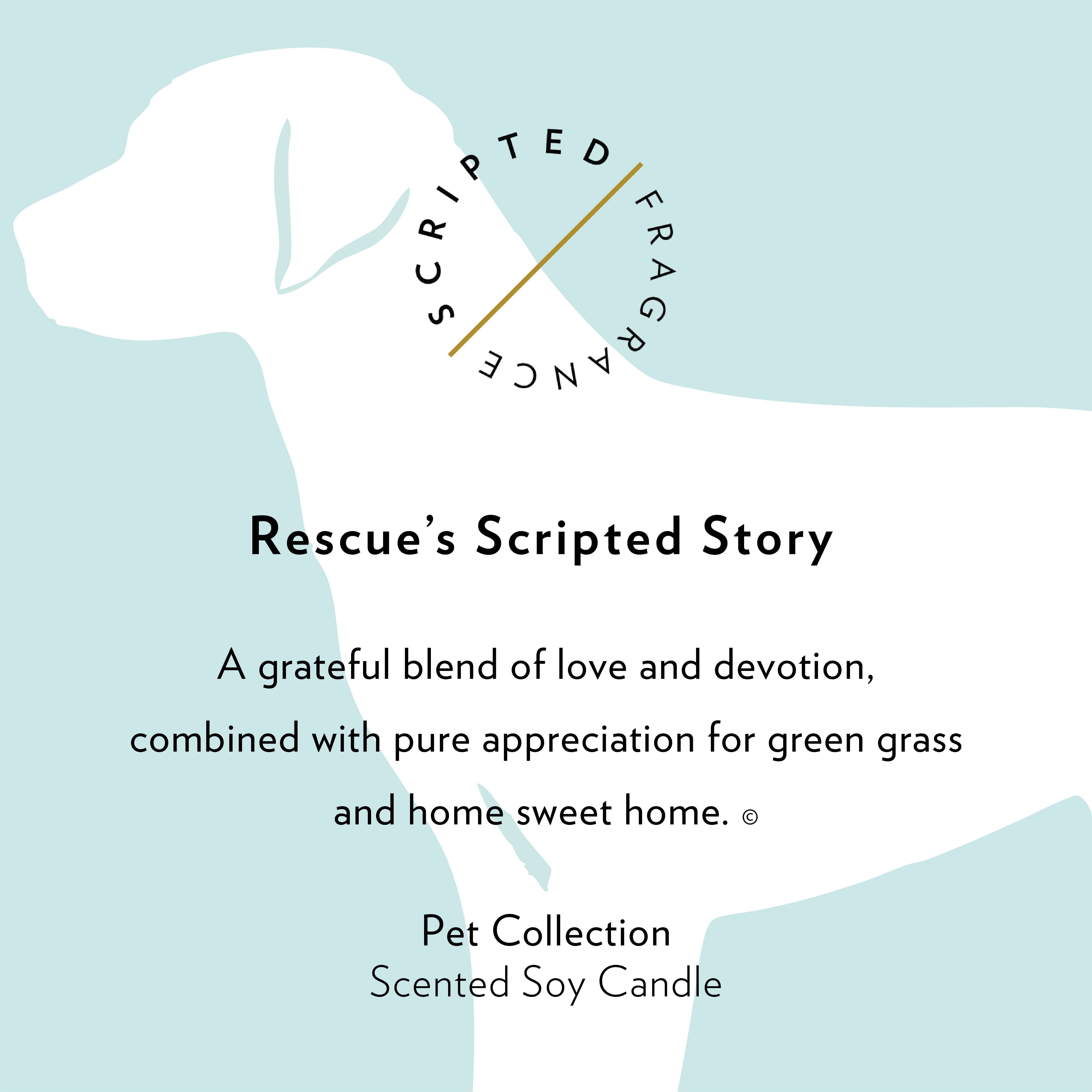Scripted Fragrance - Wholesale Jar/Filled Candle - Rescue Dog Soy Candle in Drinking Glass Two-In-One Gift10