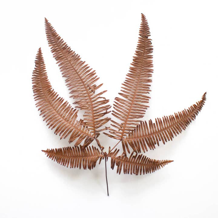 Roxanne's Dried Flowers - Wholesale Dried/Pressed Flowers - Fern - Preserved Mountain3