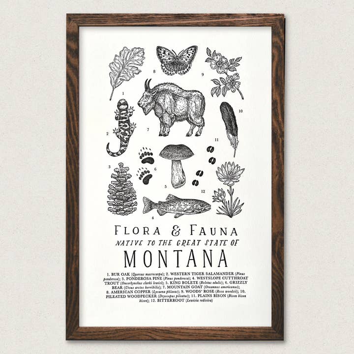 The Wild Wander - Wholesale Art Print - Montana Field Guide0